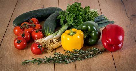 L’Horticulture : Une Science au Cœur de l’Avenir Agricole et Écologique