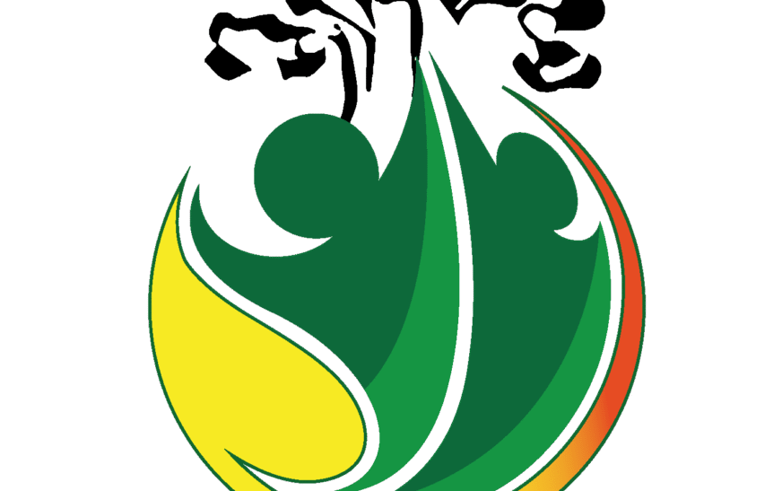 Femmes et microfinance au Sénégal : une quête d’autonomie entre opportunités et obstacles