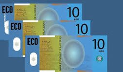 L’avenir de la monnaie unique Eco en Afrique de l’Ouest : entre espoir d’intégration économique et défis de convergence
